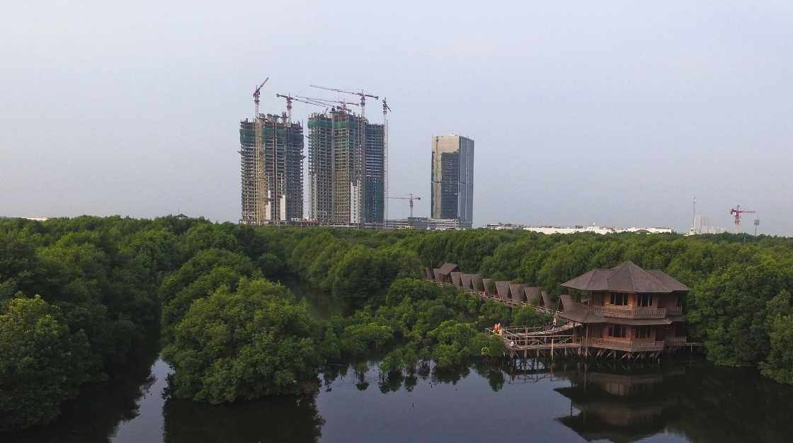 Soroti Alih Fungsi Lahan 1,1 Juta Hektare Hutan di Jawa, Komisi IV Ingatkan Risiko Bencana