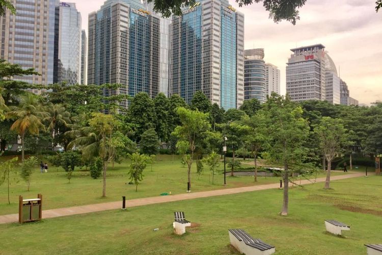 Pemprov DKI Jakarta Akan Tambah Tiga Hutan Kota pada Tahun 2024