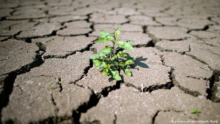 BRIN: Cuaca Ekstrem Makin Sering Terjadi sehingga Perlu Dibentuk Tim Khusus untuk Menangani
