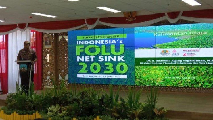 MADANI Berkelanjutan: Transparansi Pengelolaan Small Grant FOLU Net Sink Tahap 1-3 Masih Minim