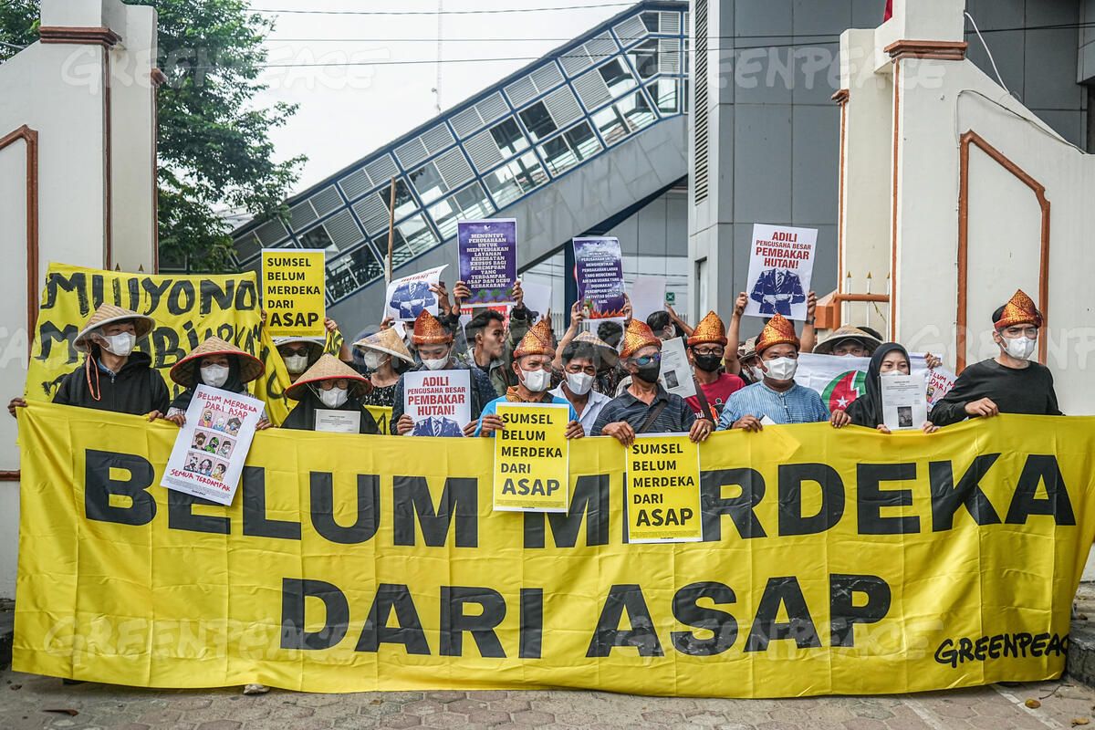 Greenpeace Turut Menjadi Penggugat Intervensi dalam Perkara Kabut Asap di Sumatera Selatan