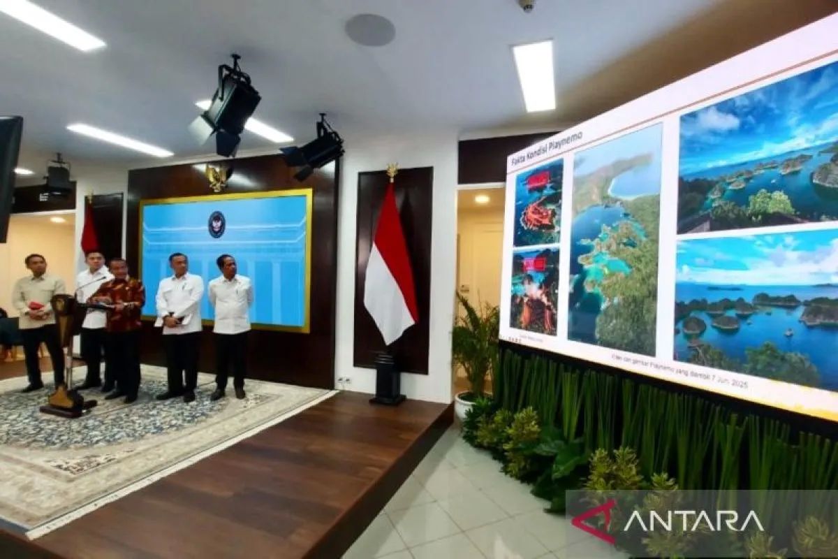 Tambang Nikel di Raja Ampat Mengancam Habitat Hewan Langka Pari Manta