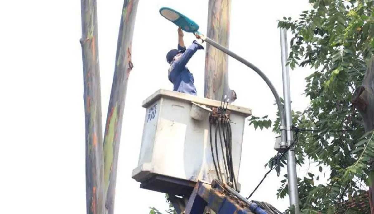 Komitmen Pemerintah Penting dalam Mewujudkan Pembangkit Mikro dari Energi Terbarukan