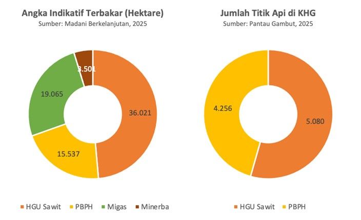 Kalimantan Barat Alami Lonjakan Kasus Karhutla Tertinggi pada 2025