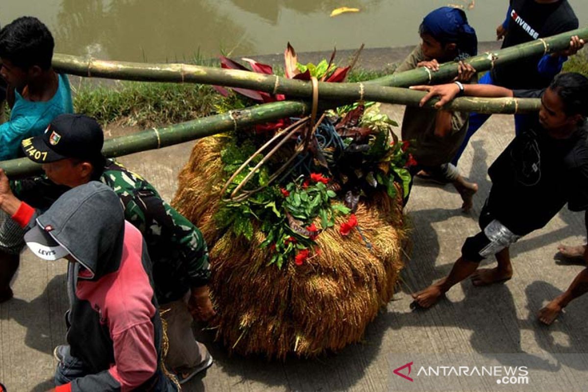 Tradisi ‘Katto Bokko’: Wujud Syukur Masyarakat Maros Atas Kelimpahan Hasil Panennya