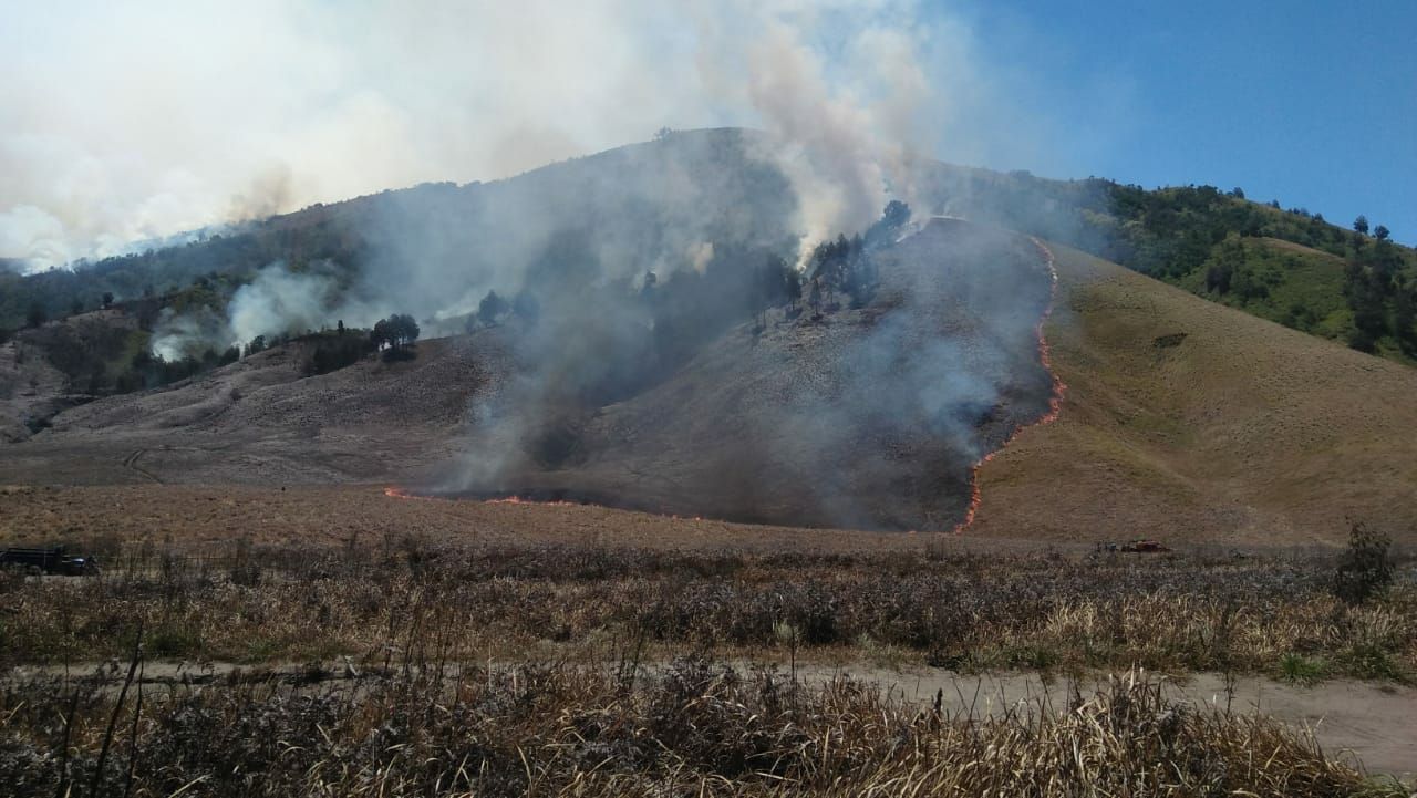 Setelah 6 Hari Berkobar, Seluruh Titik Api Gunung Bromo Padam