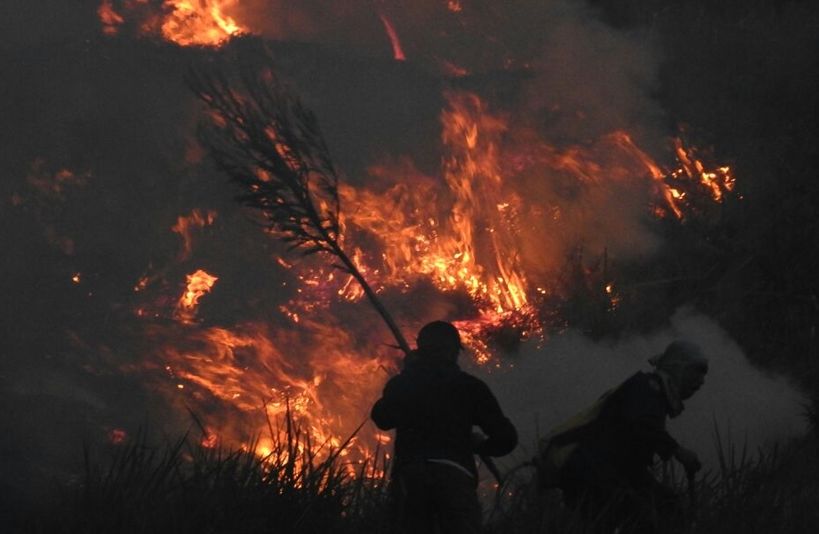 Kebakaran Lahan di Rokan Hilir: Setidaknya 25 Hektare Kebun Sawit Hangus Terbakar