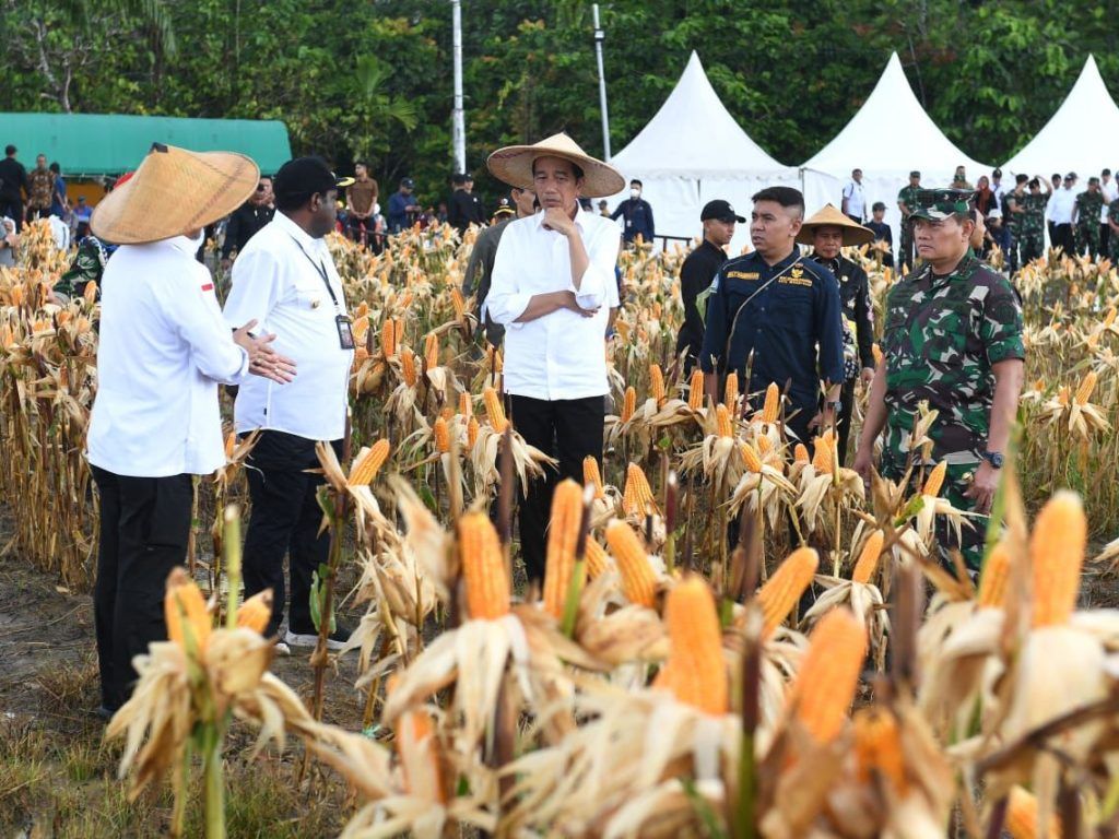Meski Disorot Food Estate tetap Dilanjutkan, Ada Alokasi Dana di APBN 2024