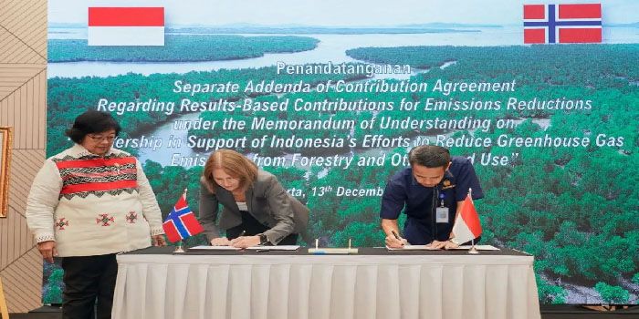 Dianggap Berhasil Menurunkan Laju Deforestasi, Pemerintah Indonesia Terima Dana Rp 1,56 Trilyun dari Norwegia