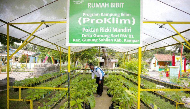 Beragam Dampak Positif Program Kampung Iklim