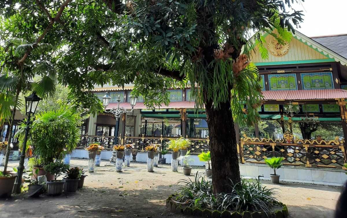Dua Varietas Mangga Ini Hanya Bisa Ditemukan di Keraton Yogyakarta, Apa Istimewanya?