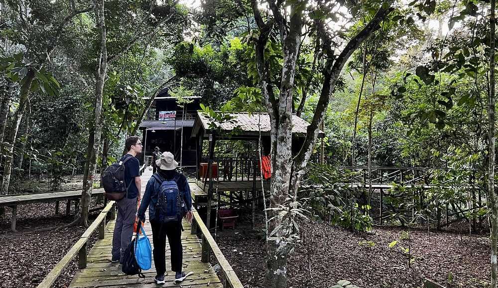 Penutupan Taman Nasional Kutai Berdampak pada Kunjungan Wisatawan ke Kalimantan Timur