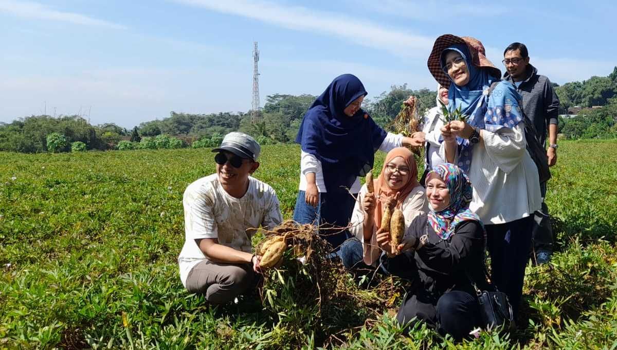 Tak Lagi Tanam Tembakau, Petani Windusari Sukses Raup Omzet Berlipat Ganda