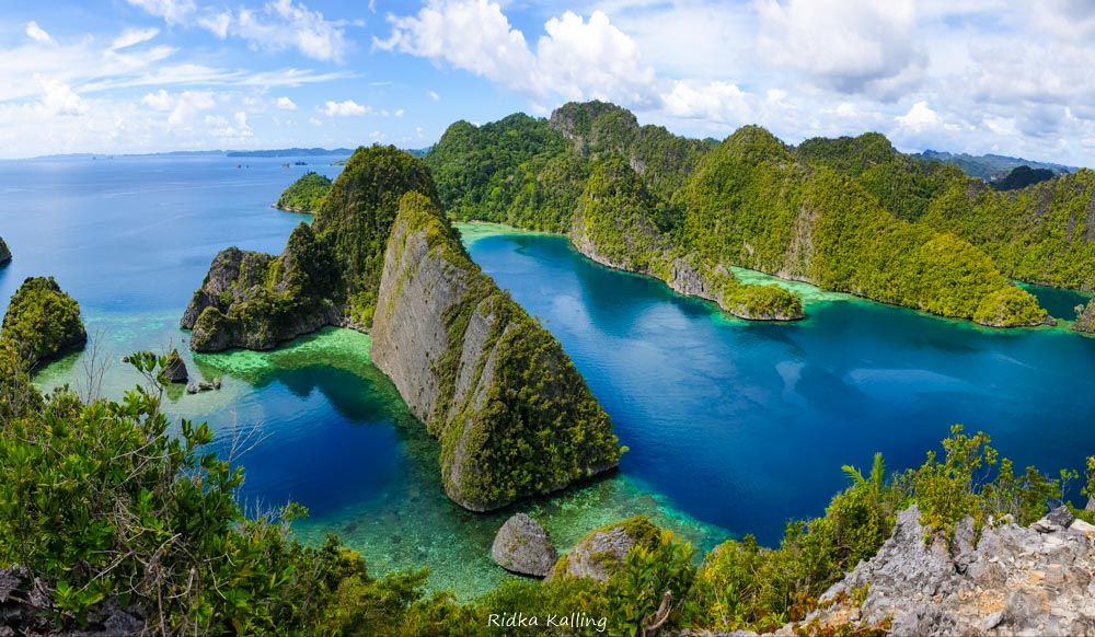 Jaga Keanekaragaman Hayati, Masyarakat Dunia Perlu Mempercepat Upaya Konservasi