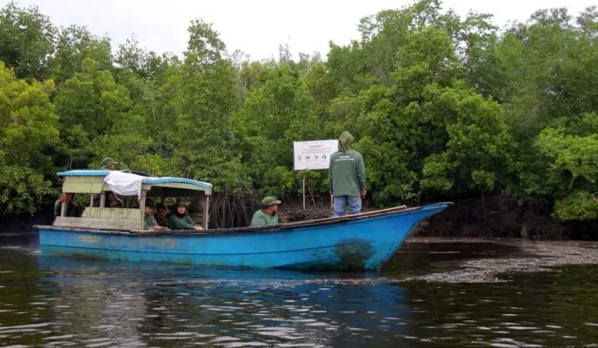 Partisipasi Aktif Warga Berhasil Menekan Degradasi Hutan Mangrove di Kabupaten Bengkalis