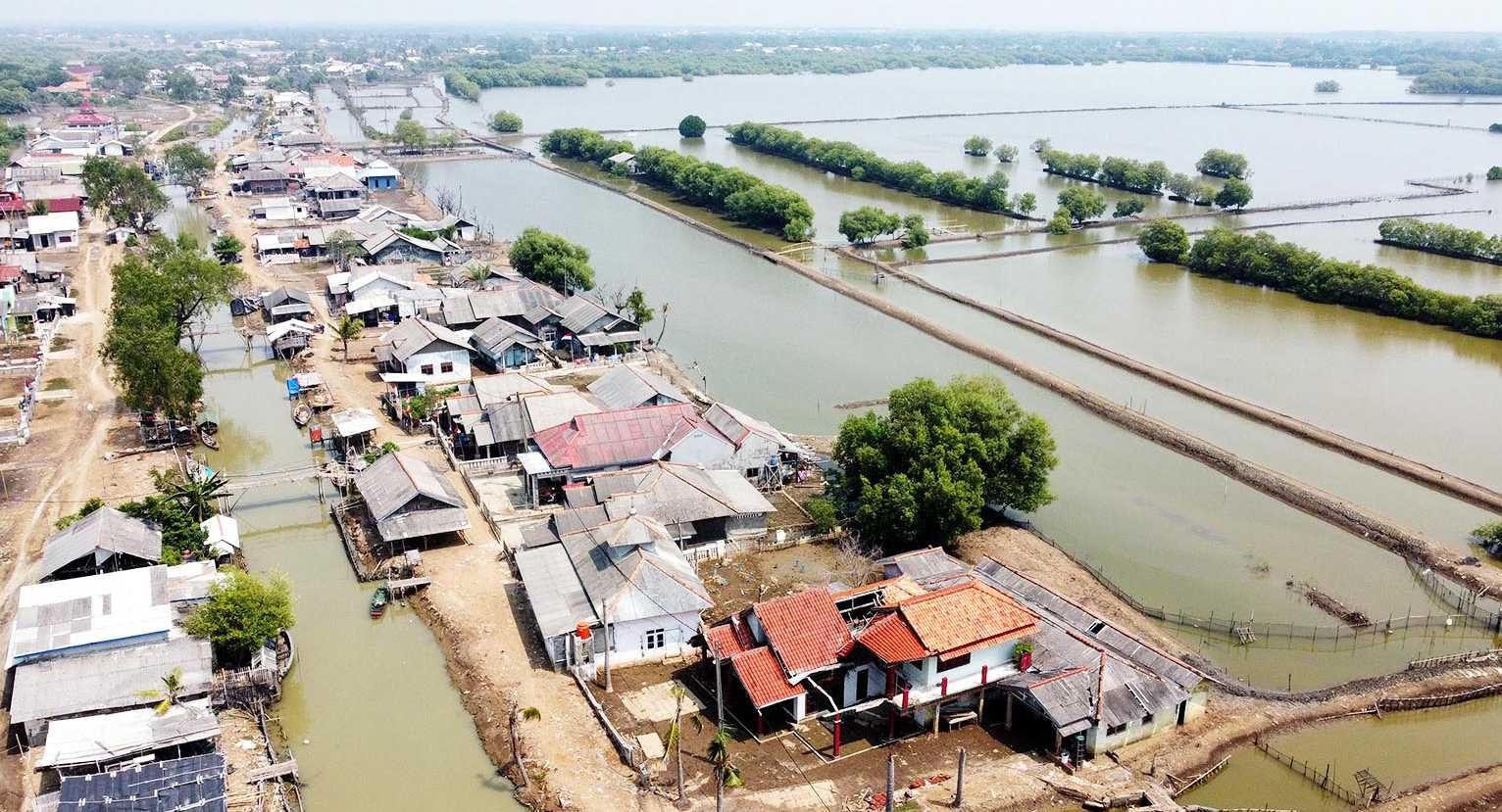 Pemberdayaan Masyarakat yang Salah Sasaran di Muara Gembong