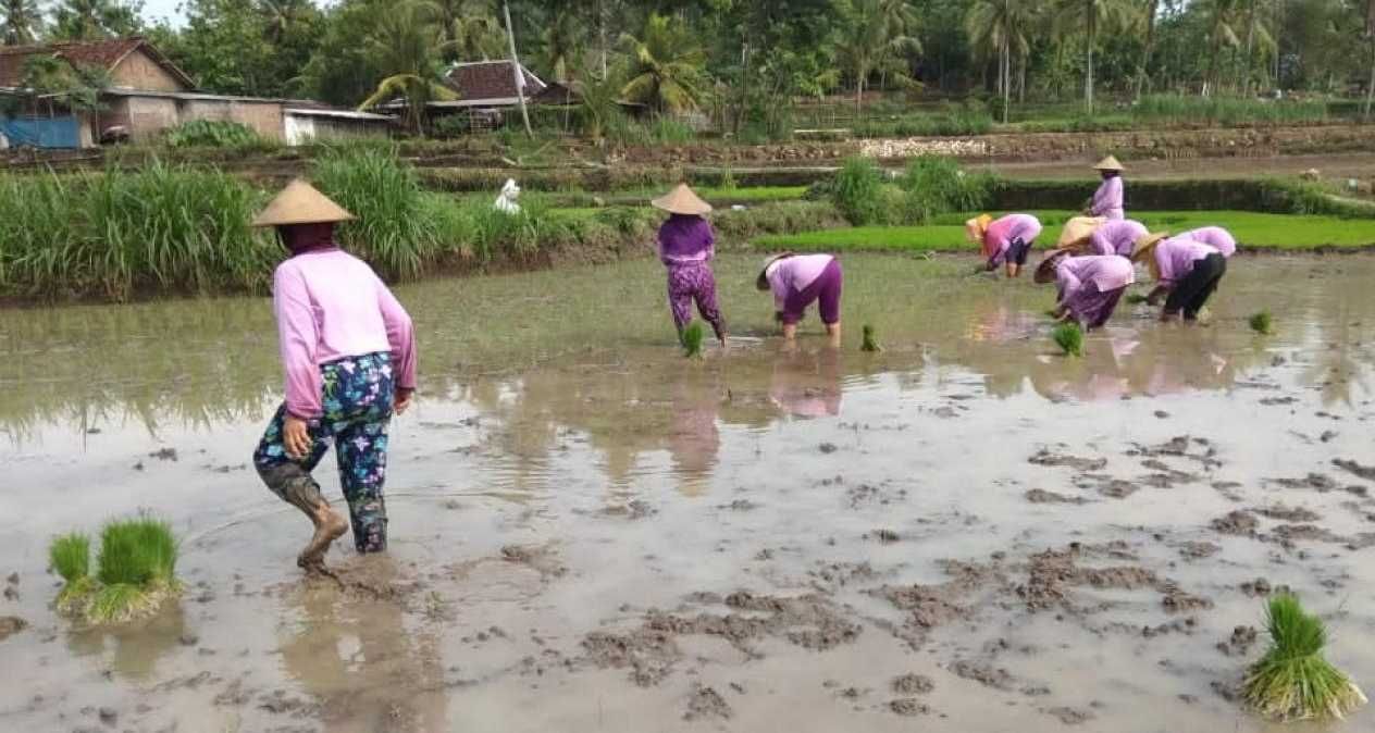 DPR Melihat Anggaran Ketahanan Pangan Belum Berpihak kepada Petani dan Nelayan
