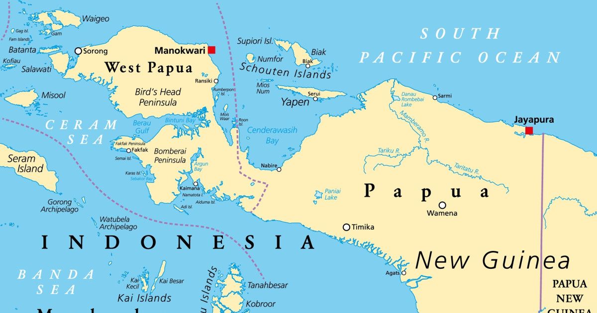 Masyarakat Sipil Desak Uni Eropa Ikut Memantau Potensi Deforestasi di Papua