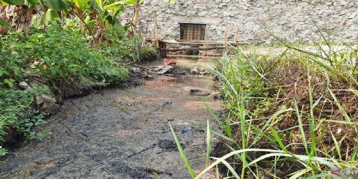 Limbah Pabrik Coklat Mencemari Aliran Irigasi Pertanian, Petani Mengeluh