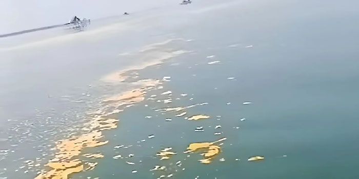 Limbah Minyak dari Kapal Diduga Mencemari Perairan Pesisir Pantura