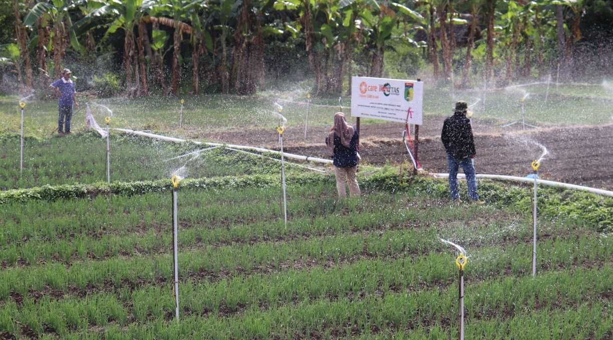IPB University Tawarkan Teknologi Biointensif untuk Atasi Kenaikan Harga Pupuk Akibat Perang di Teluk Persia
