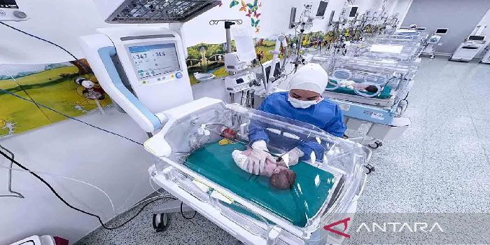 Petugas Medis dari WHO Ditelanjangi, Digeledah dan Ditahan Israel Saat Menjalankan Tugas