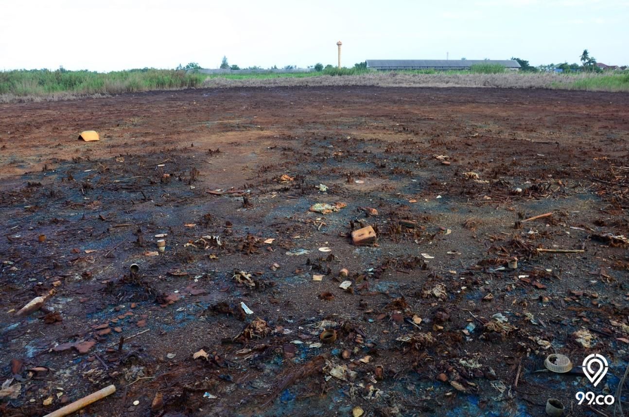 SOS! Sepertiga Tanah di Planet Bumi Sudah Rusak