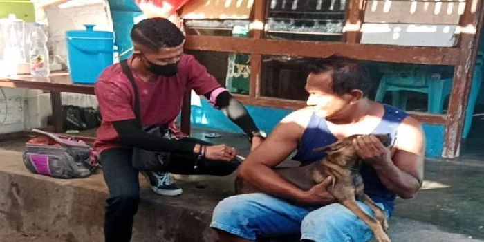 NTT Darurat Rabies, 11 Orang Meninggal