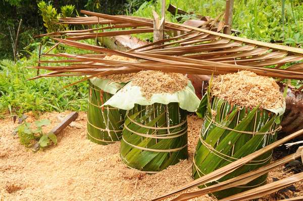 Defisit Pangan di Indonesia Masih Tinggi, Pentingnya Kembangkan Pangan Lokal
