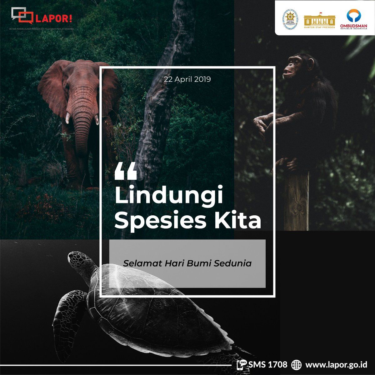 RI Bakal Mendata Keanekaragaman Hayati Flora dan Fauna yang Terancam Punah pada 2025