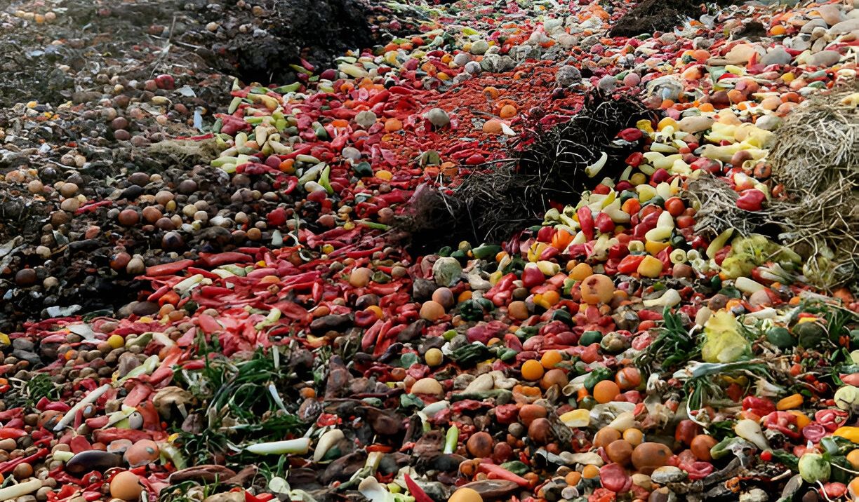 UNEP Luncurkan Inisiatif untuk Kurangi Sampah Makanan