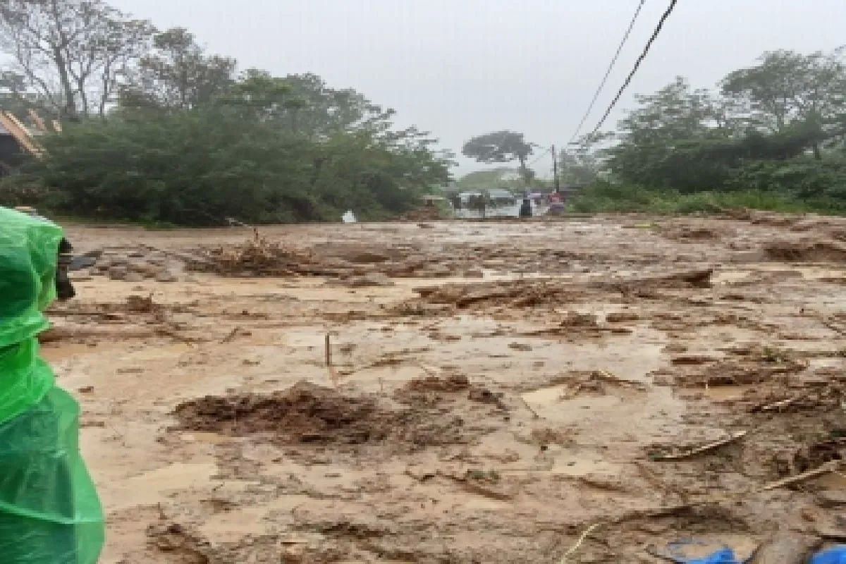 Silang Pendapat Kemenhut dan Bupati Tapanuli Selatan soal Izin Penebangan Hutan