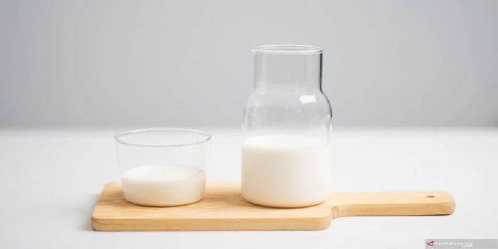 Minum Segelas Susu Sebelum Tidur? Ini Dia Manfaatnya