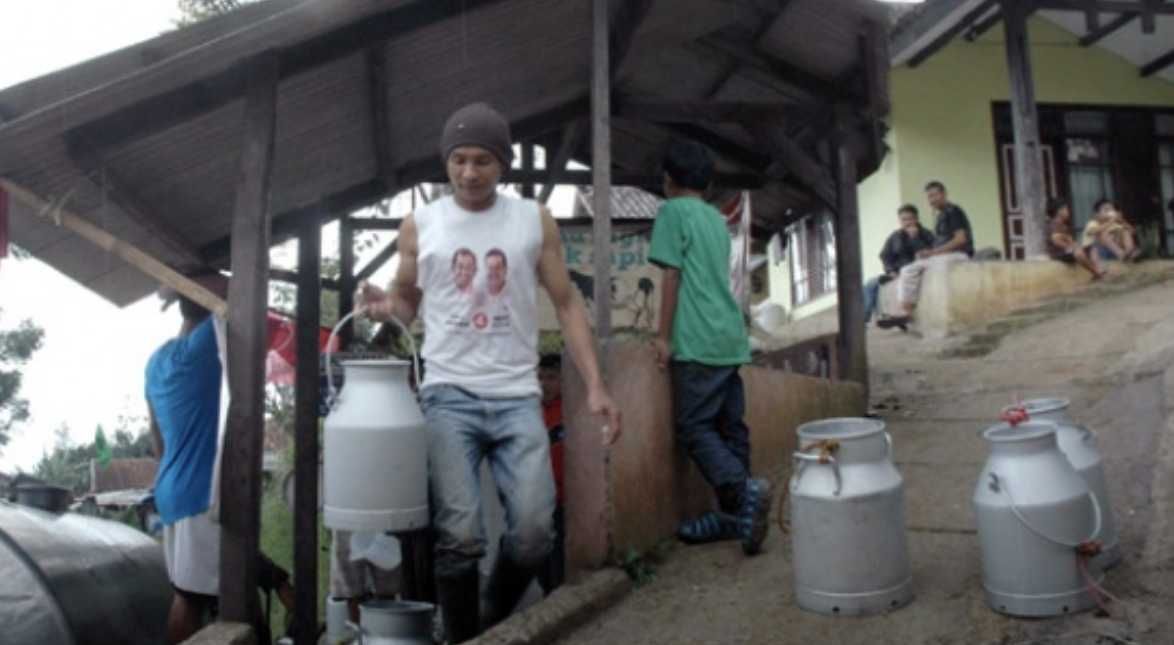 Ketergantungan pada Susu Impor Masih Tinggi: Masalah Lama Tak Kunjung Teratasi
