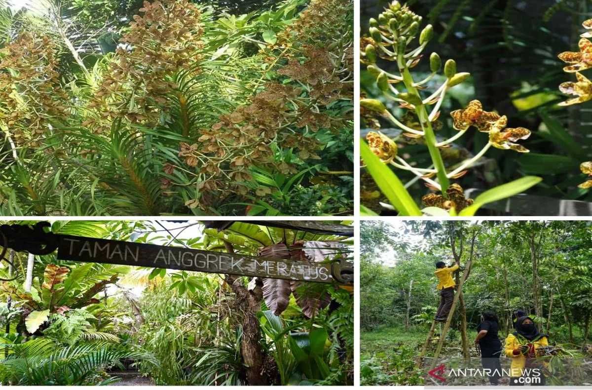 BRIN Mulai Jalankan Program Ekspedisi untuk Mengeksplorasi Biodiversitas di Kalimantan Tahun Ini