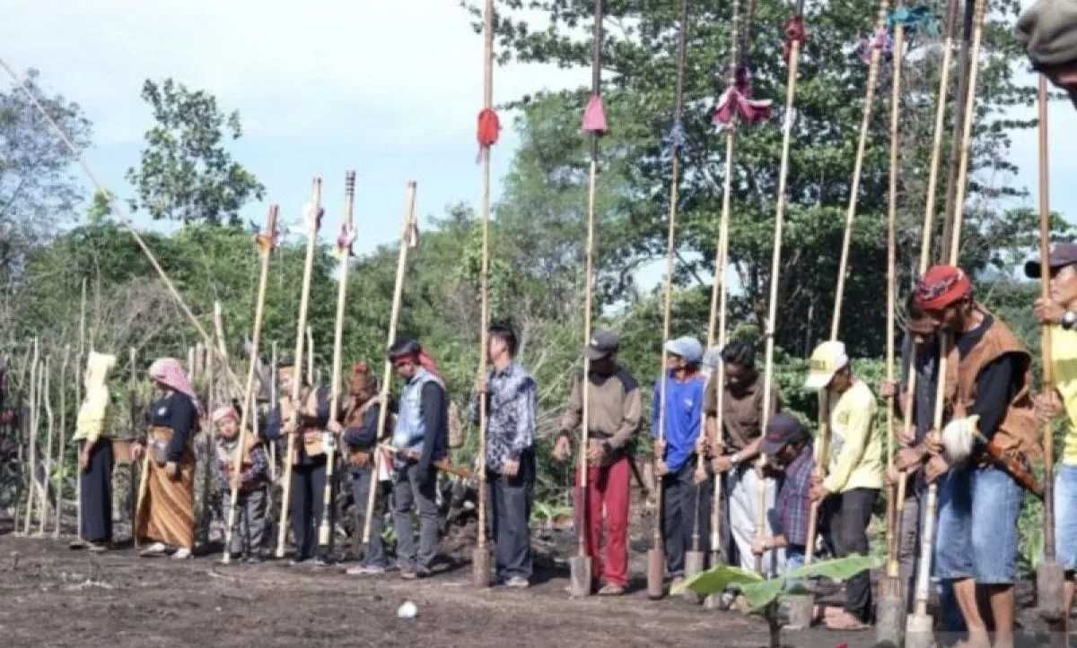 Hari Masyarakat Adat Sedunia: Masyarakat Adat Jadi Penjaga Keanekaragaman Hayati dan Keragaman Pangan Lokal