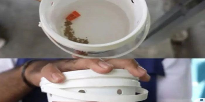 Dibutuhkan 5,4 Juta Lebih Telur Nyamuk Aedes Aegypti Ber-Wolbachia untuk Pengendalian DBD di Bandung