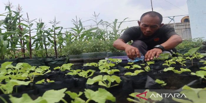 Urban Farming Ternyata Dapat Dilakukan di Perkantoran