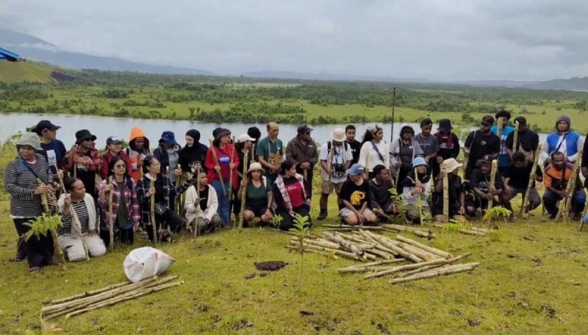 Hijaukan Bukit Yotoro Papua dengan Pohon Kelor, Dua Manfaat Langsung Dirasakan